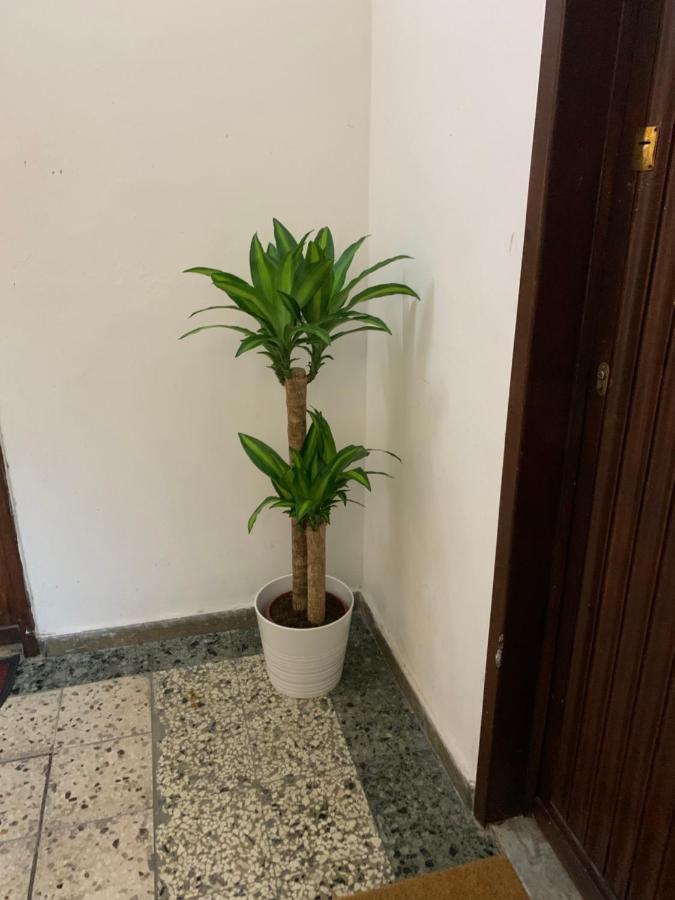 Pisa Train Station Guest House المظهر الخارجي الصورة
